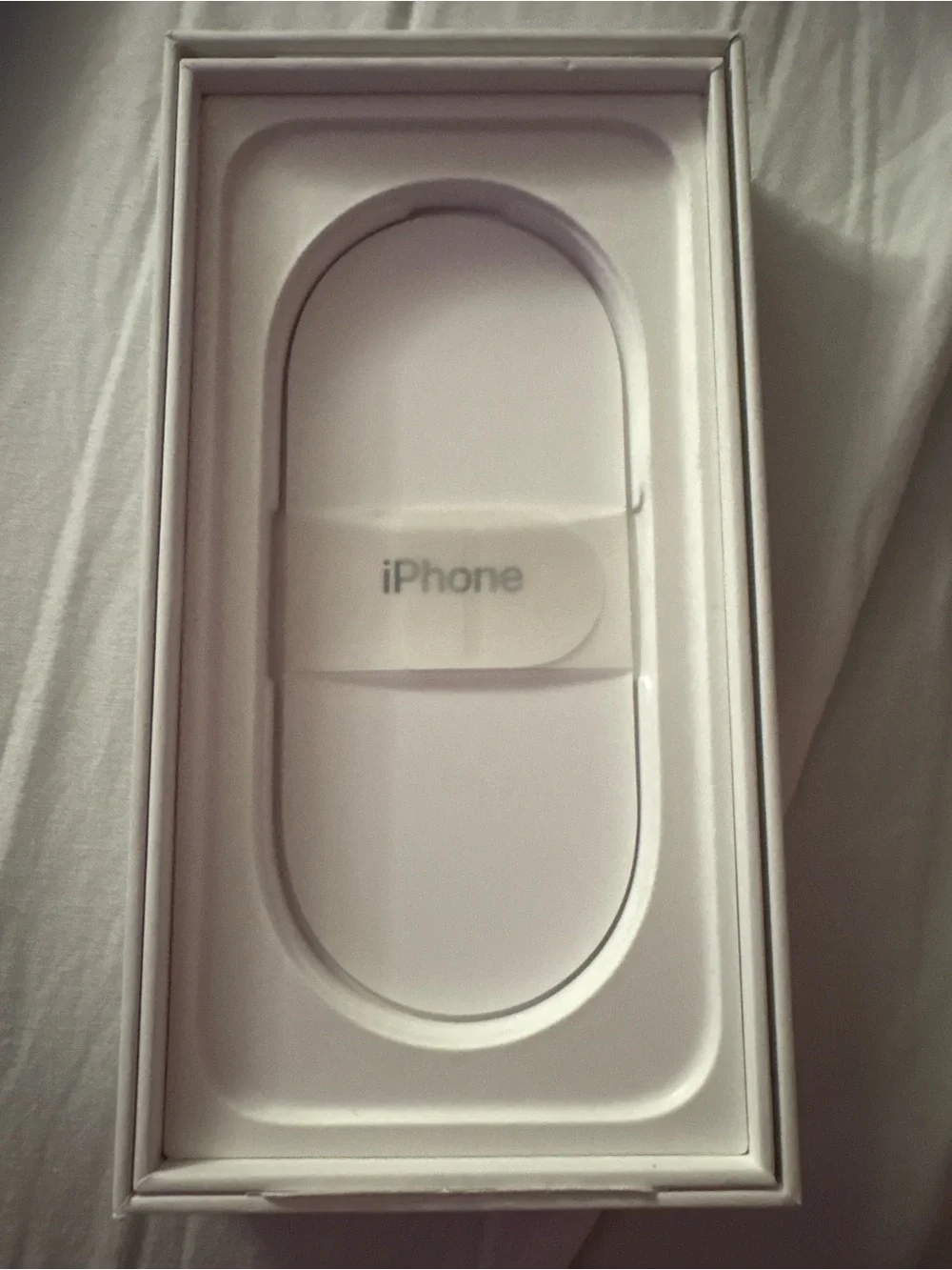 Apple no phone